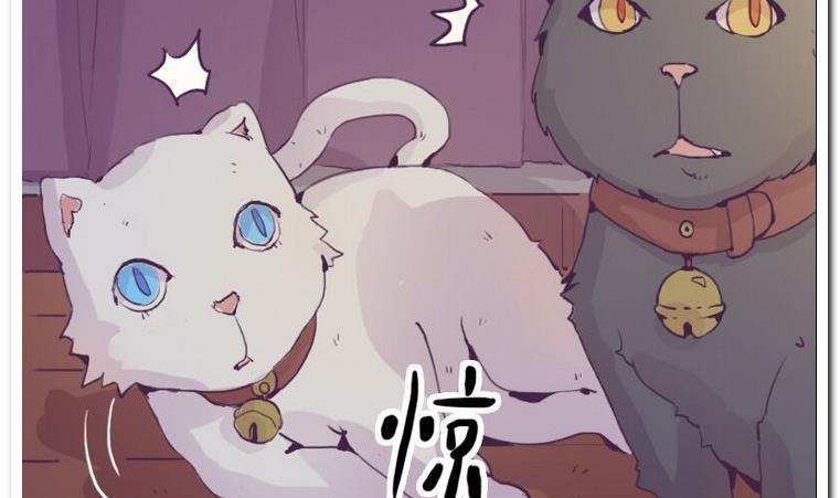 第1话 许愿喵仙人-第1话