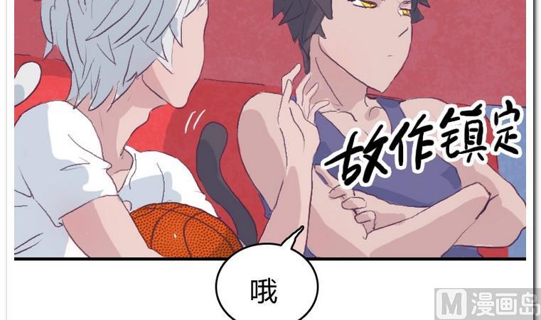 第33话 下午计划-第33话