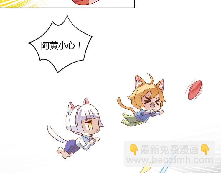 第1话  猫主子驾到！(1/6)-第1话