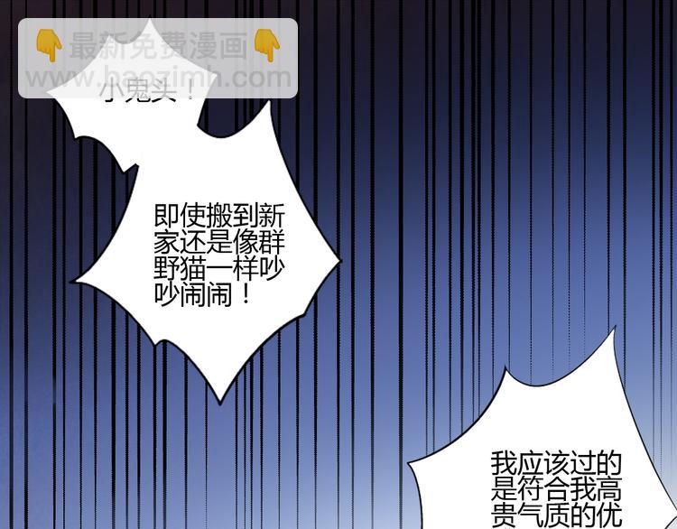 第1话  猫主子驾到！(1/6)-第1话