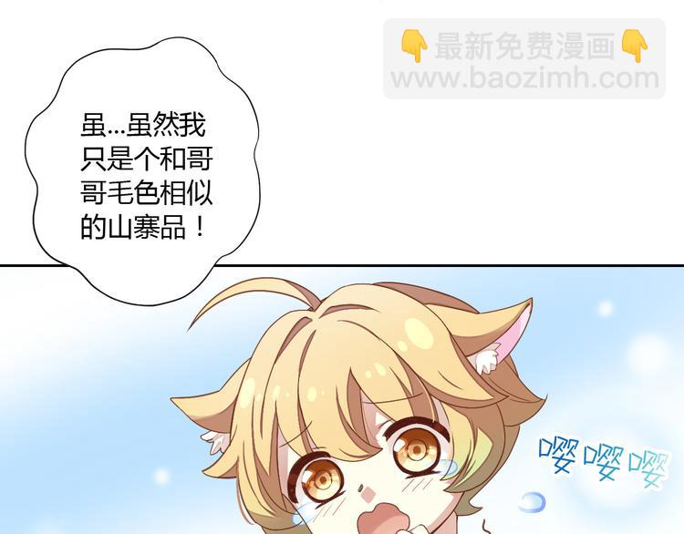 第1话  猫主子驾到！(1/6)-第1话