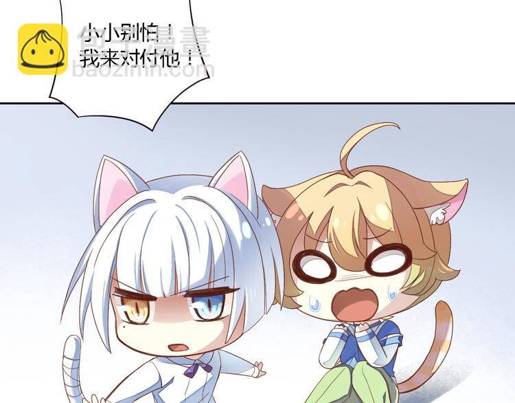 第1话  猫主子驾到！(1/6)-第1话