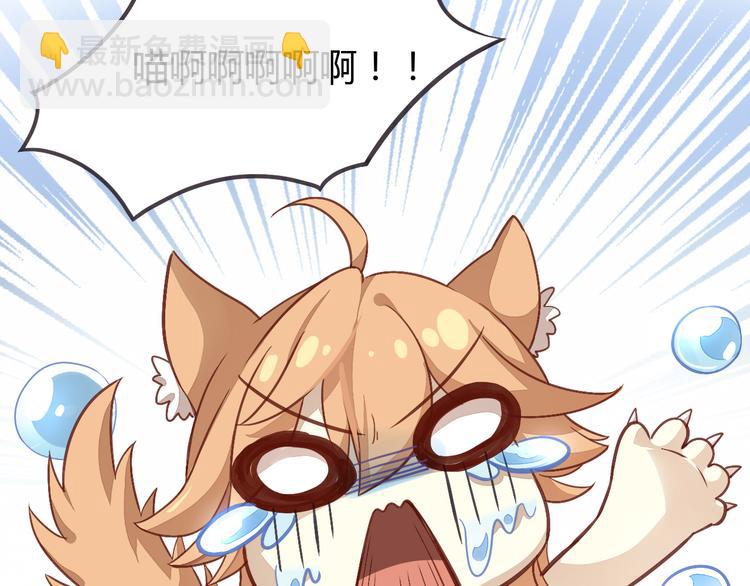 第1话  猫主子驾到！(1/6)-第1话