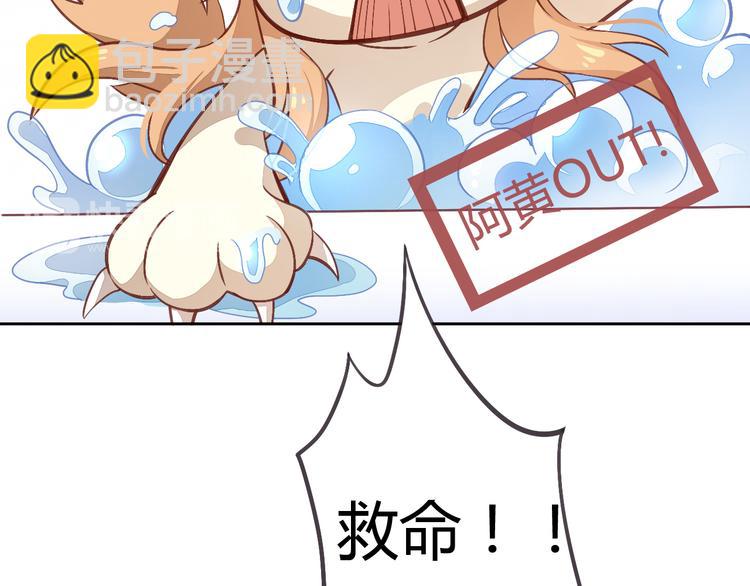 第1话  猫主子驾到！(1/6)-第1话