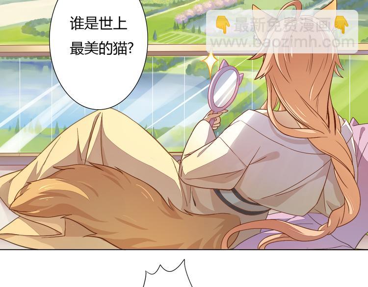 第1话  猫主子驾到！(1/6)-第1话