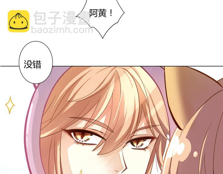 第1话  猫主子驾到！(1/6)-第1话