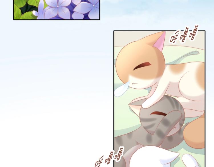 第106话 猫怕老鼠(1/3)-第107话