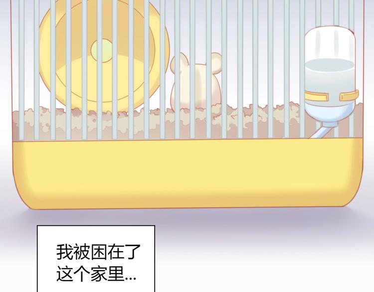 第108话 仓鼠也有梦想！(1/2)-第109话