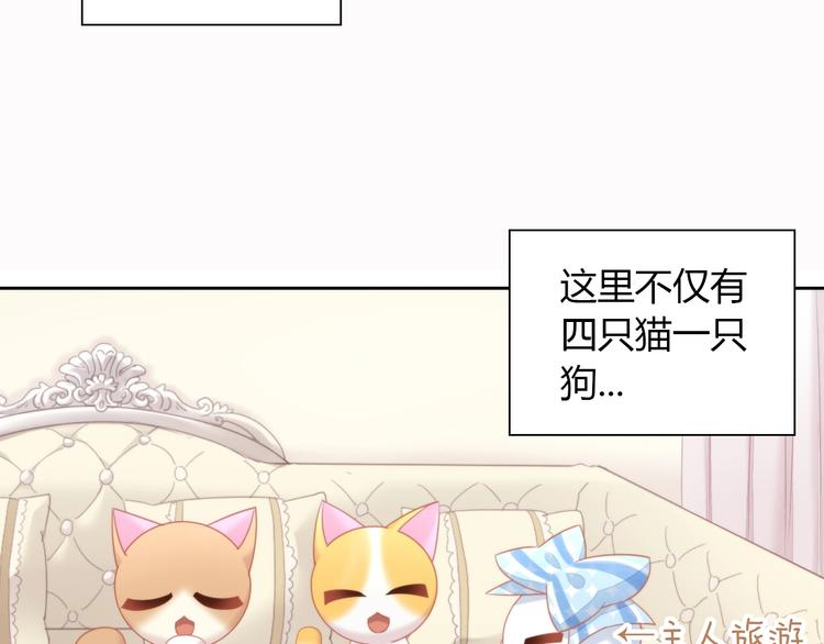 第108话 仓鼠也有梦想！(1/2)-第109话