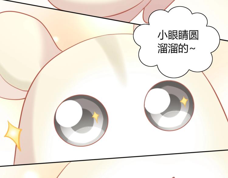第108话 仓鼠也有梦想！(1/2)-第109话