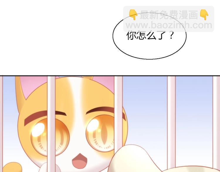 第108话 仓鼠也有梦想！(1/2)-第109话