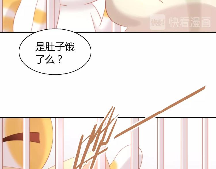 第108话 仓鼠也有梦想！(1/2)-第109话