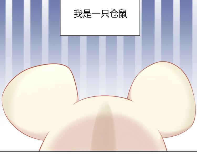 第108话 仓鼠也有梦想！(1/2)-第109话