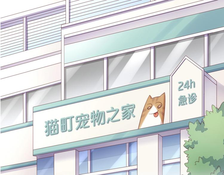 第114话 猫咪也要刷牙！(1/2)-第115话