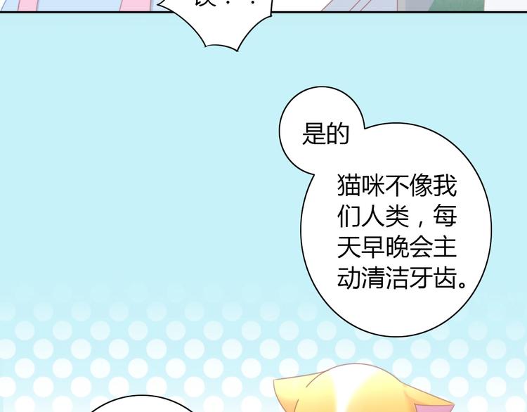第114话 猫咪也要刷牙！(1/2)-第115话