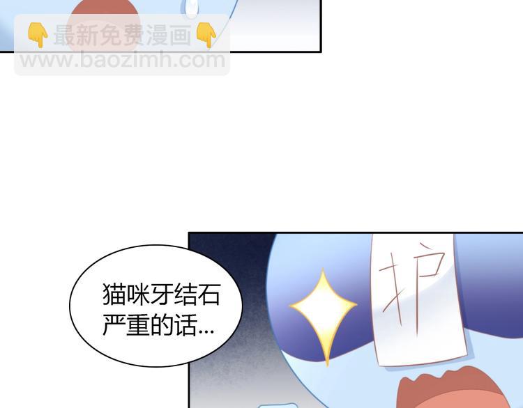 第114话 猫咪也要刷牙！(1/2)-第115话