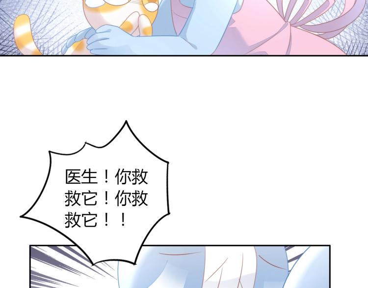 第114话 猫咪也要刷牙！(1/2)-第115话