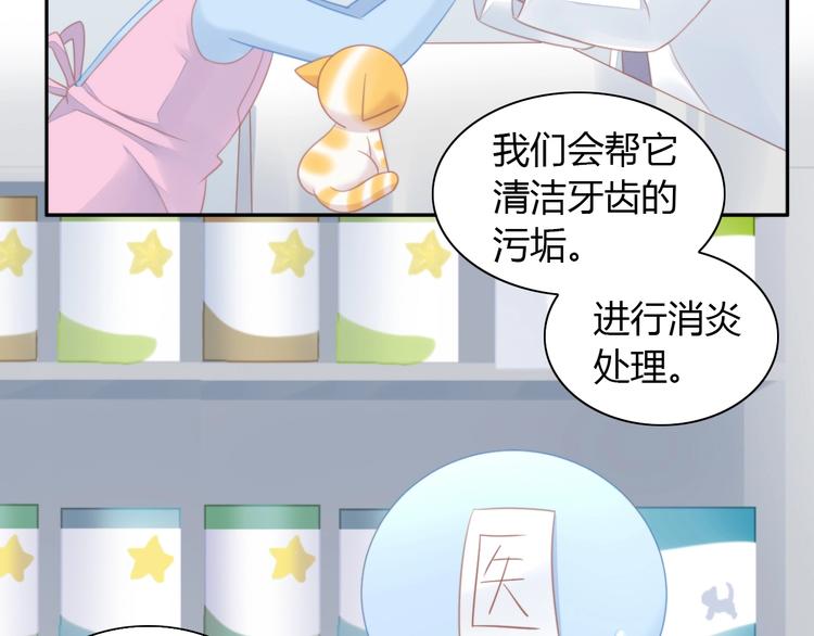 第114话 猫咪也要刷牙！(1/2)-第115话