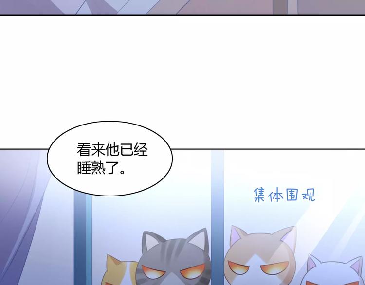 第13话  纸箱竟然是！(1/2)-第13话