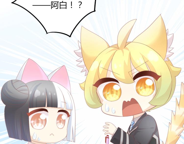 第120话 猫爪学园（三）(1/2)-第121话