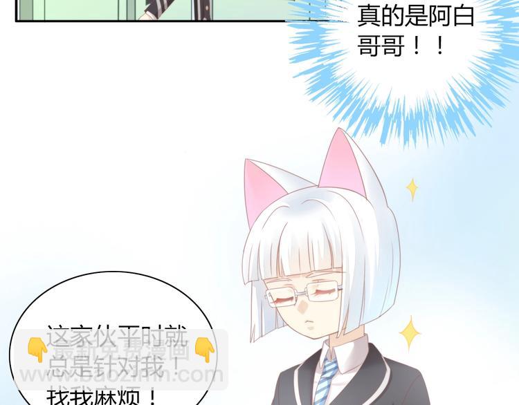第120话 猫爪学园（三）(1/2)-第121话
