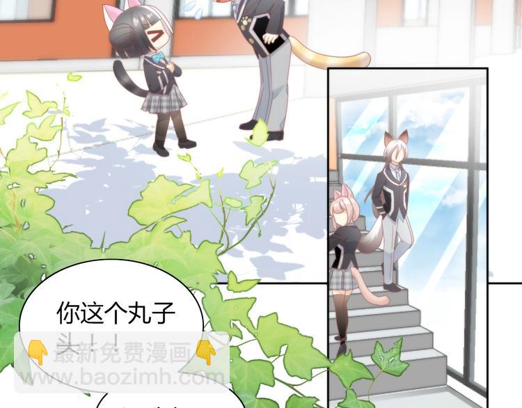 第120话 猫爪学园（三）(1/2)-第121话