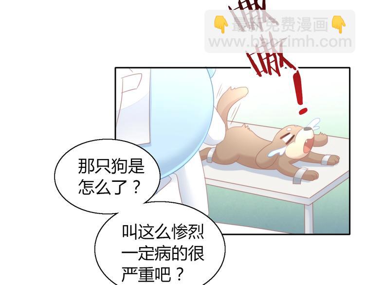 第126话 猫舍C位（二）(1/3)-第127话
