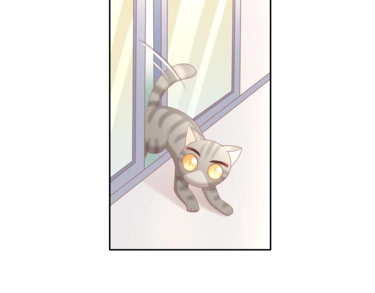 第126话 猫舍C位（二）(1/3)-第127话