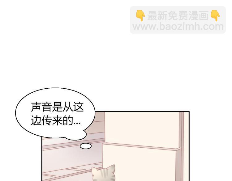 第126话 猫舍C位（二）(1/3)-第127话
