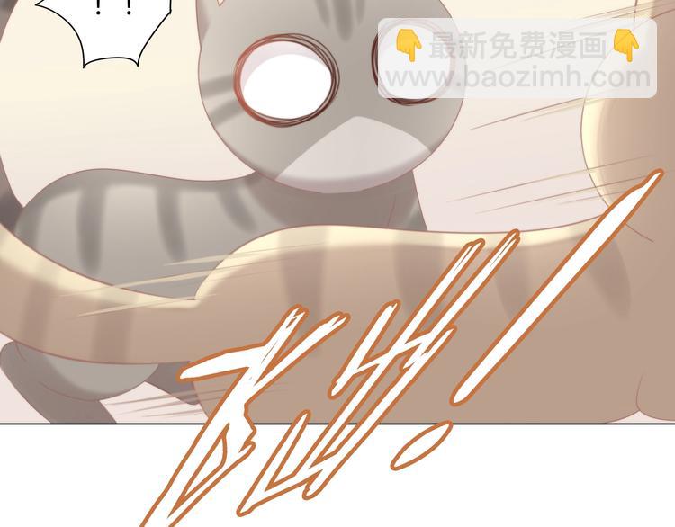 第126话 猫舍C位（二）(1/3)-第127话