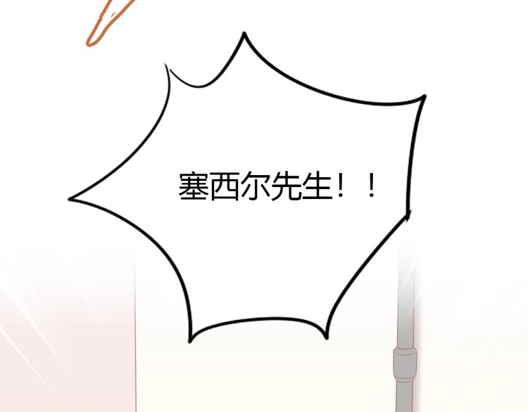 第126话 猫舍C位（二）(1/3)-第127话