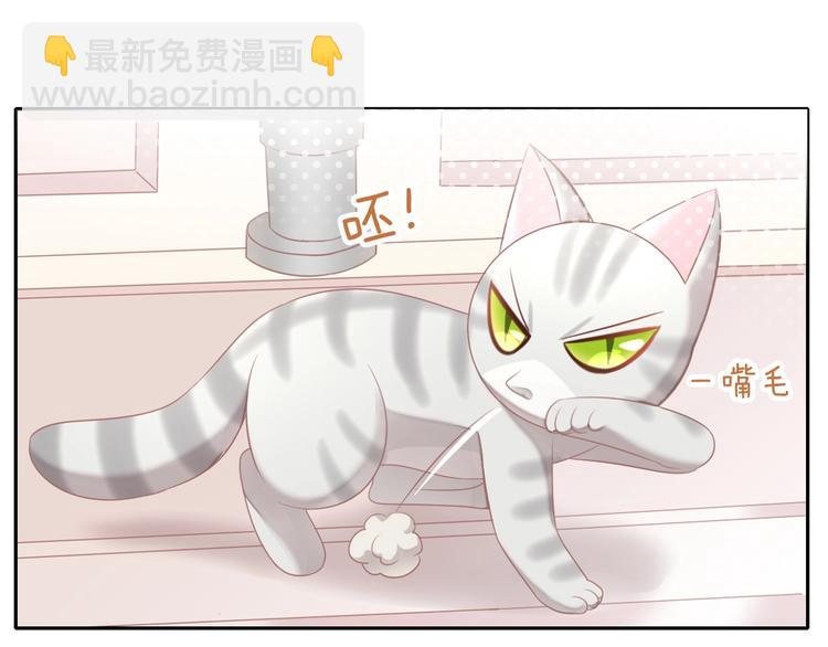 第126话 猫舍C位（二）(1/3)-第127话