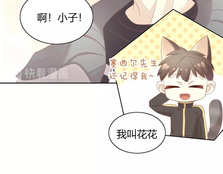 第126话 猫舍C位（二）(1/3)-第127话