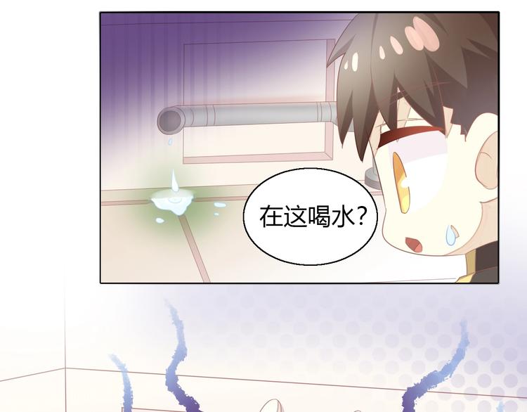 第126话 猫舍C位（二）(1/3)-第127话
