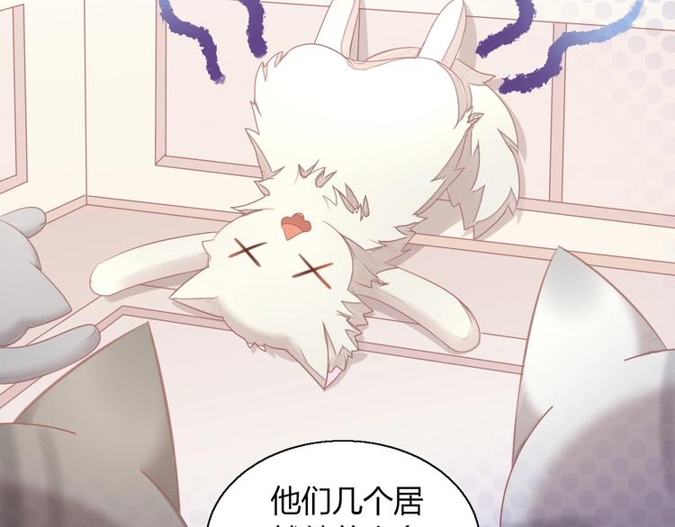 第126话 猫舍C位（二）(1/3)-第127话