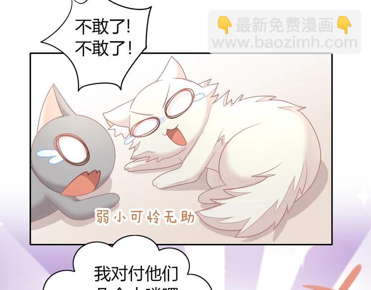 第126话 猫舍C位（二）(1/3)-第127话
