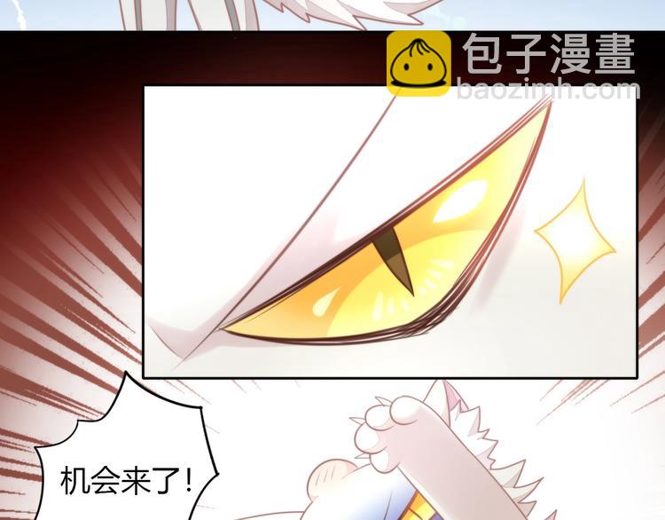 第126话 猫舍C位（二）(1/3)-第127话