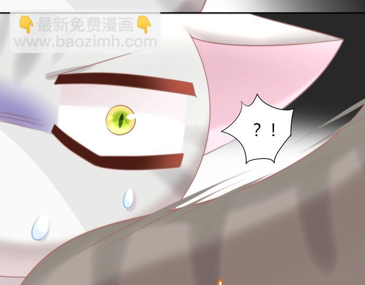 第126话 猫舍C位（二）(1/3)-第127话