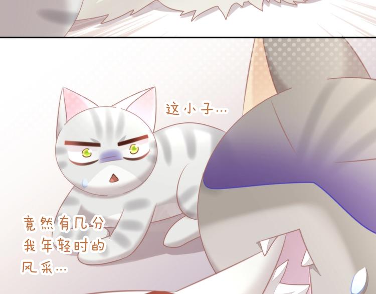 第126话 猫舍C位（二）(1/3)-第127话
