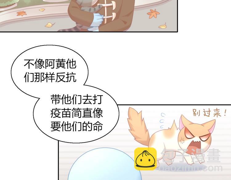 第126话 猫舍C位（二）(1/3)-第127话