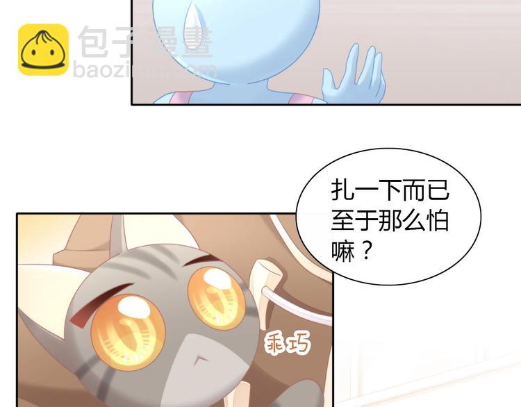 第126话 猫舍C位（二）(1/3)-第127话