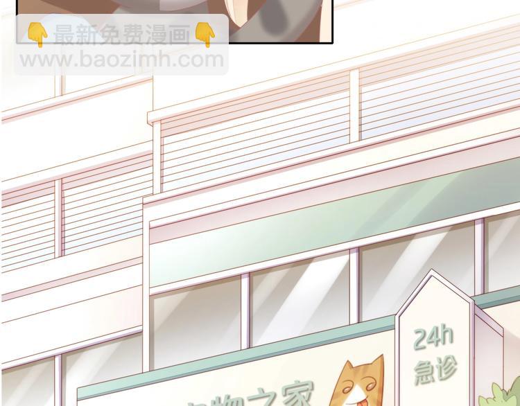 第126话 猫舍C位（二）(1/3)-第127话