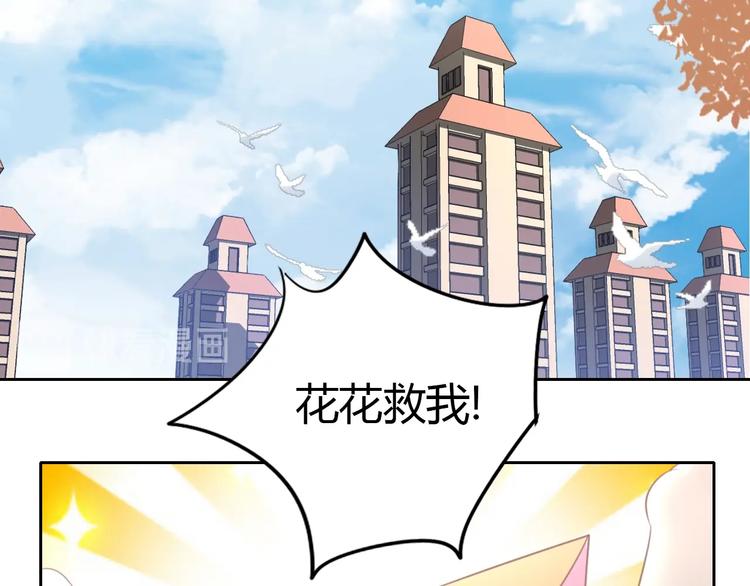 第128话 猫舍C位（四）(1/3)-第129话