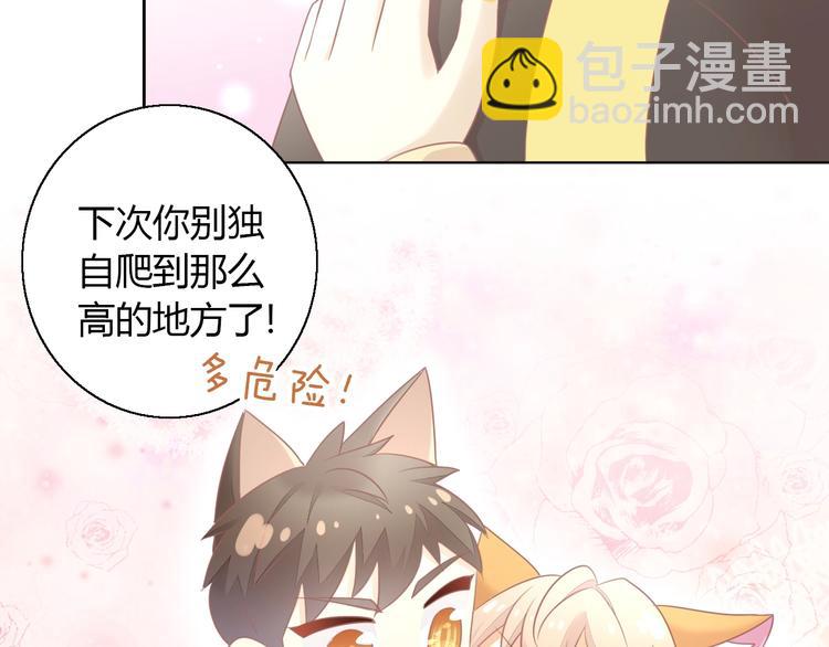 第128话 猫舍C位（四）(1/3)-第129话