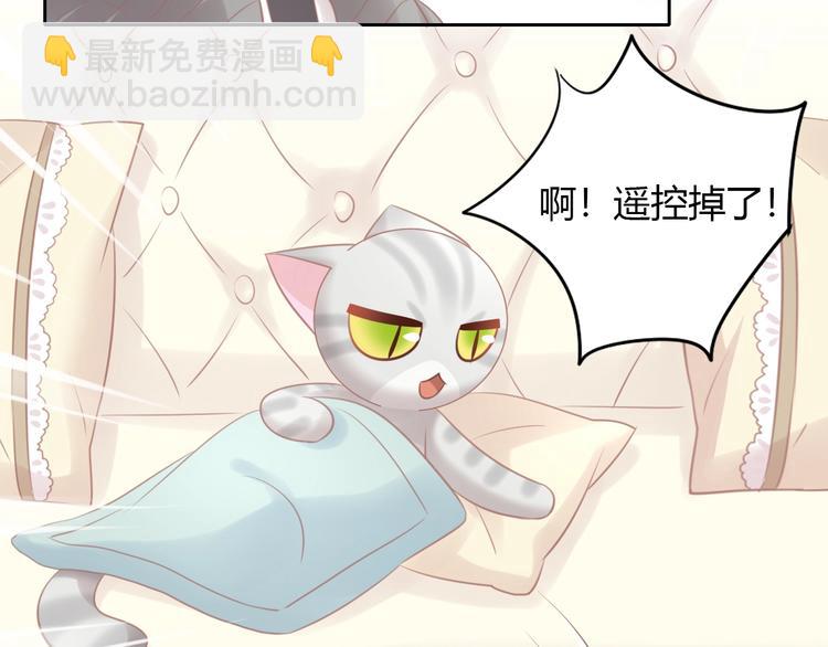 第128话 猫舍C位（四）(1/3)-第129话
