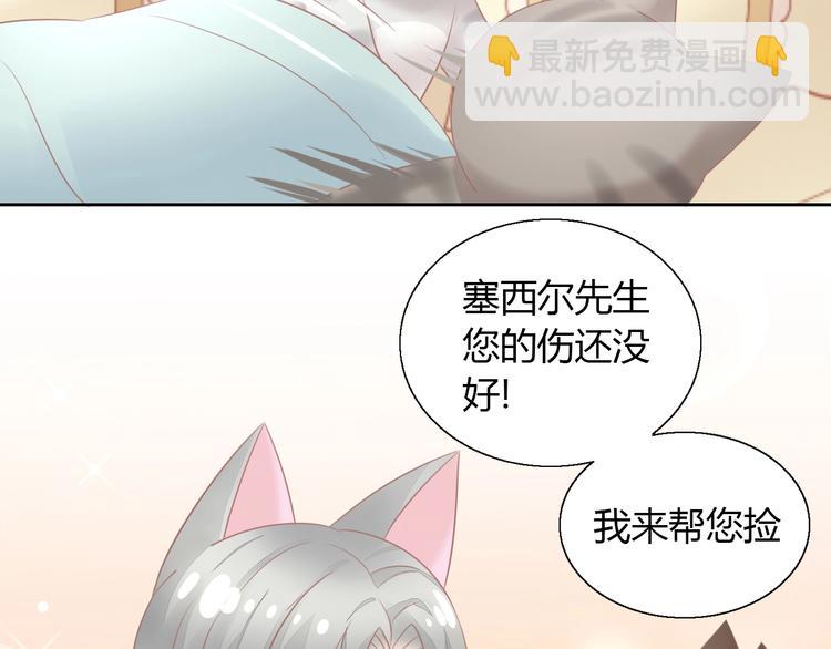第128话 猫舍C位（四）(1/3)-第129话