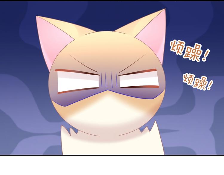 第128话 猫舍C位（四）(1/3)-第129话