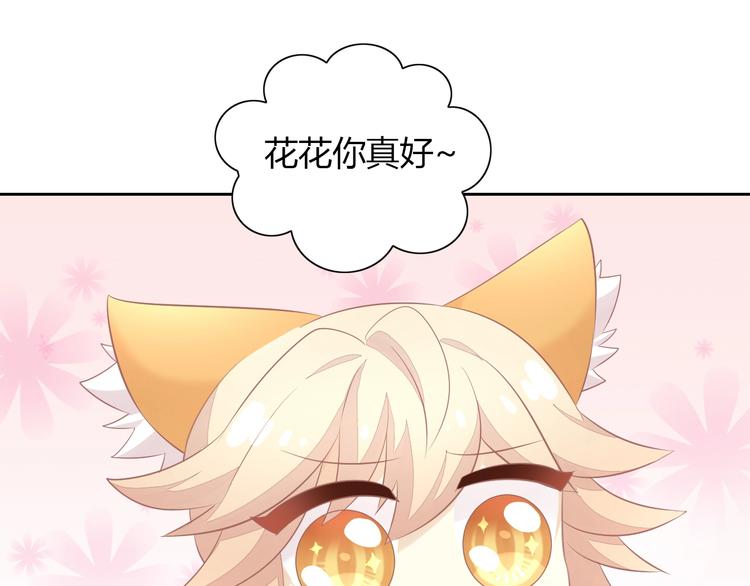 第128话 猫舍C位（四）(1/3)-第129话