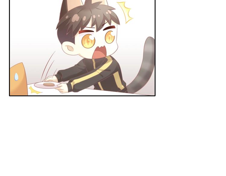 第128话 猫舍C位（四）(1/3)-第129话