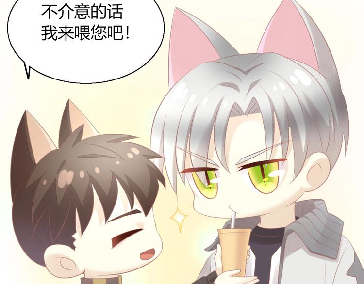 第128话 猫舍C位（四）(1/3)-第129话